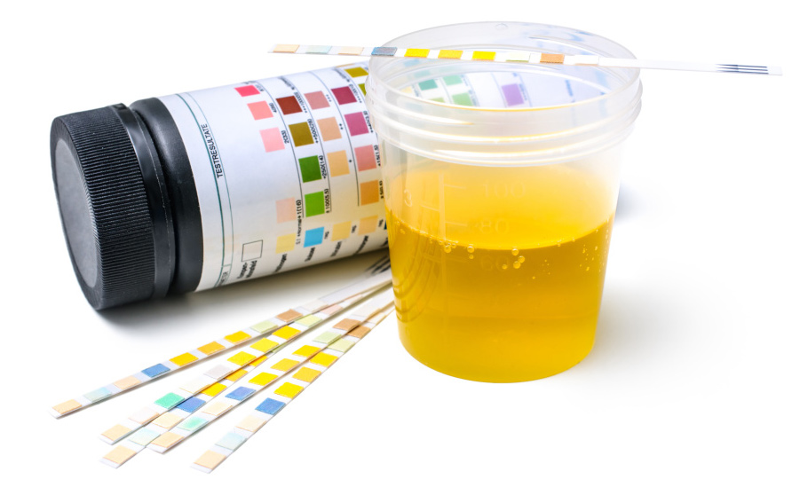 fake urine