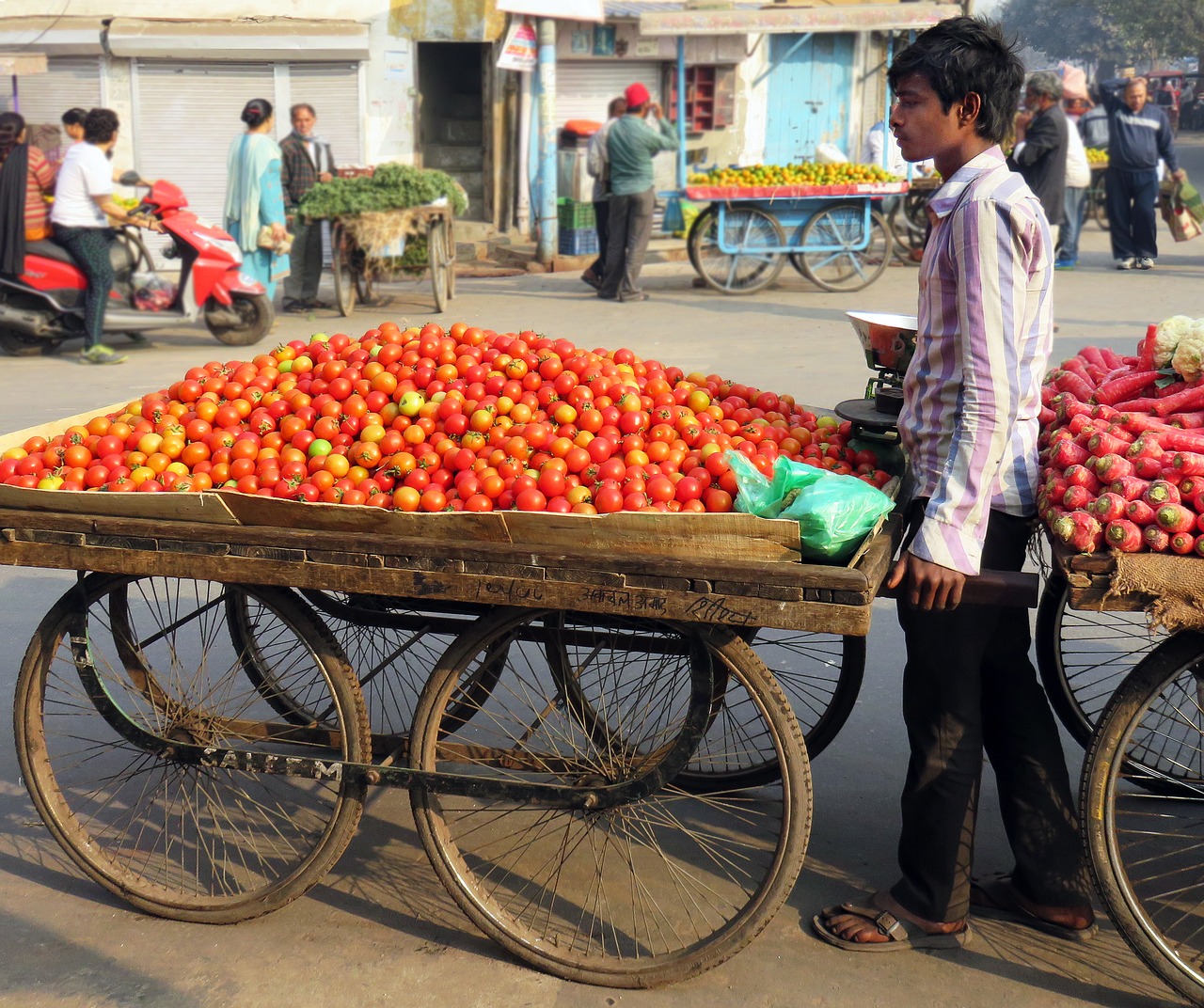 tomatoes